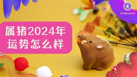 属猪2024年运程|属猪2024年运势及运程详解 2024年属猪人的全年每月运势